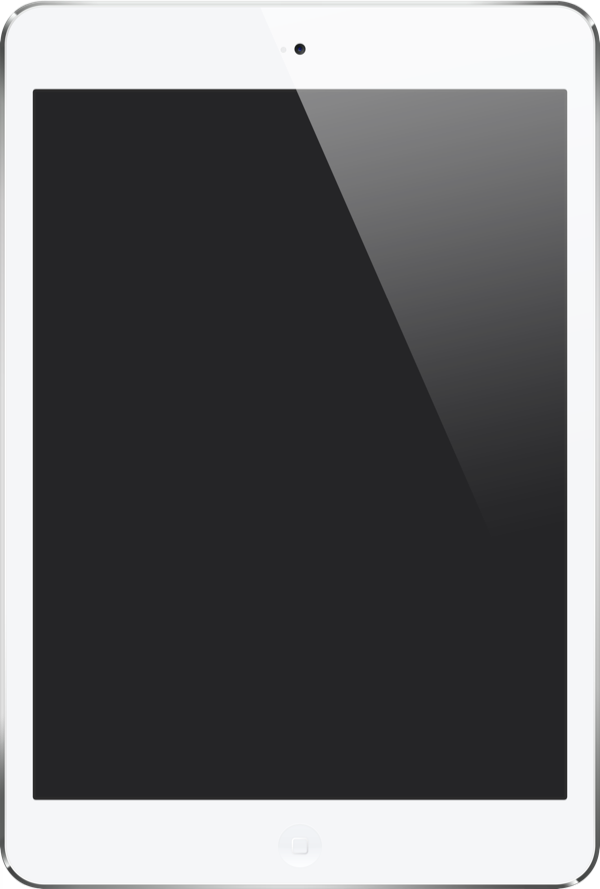 iPad Mini seconde main